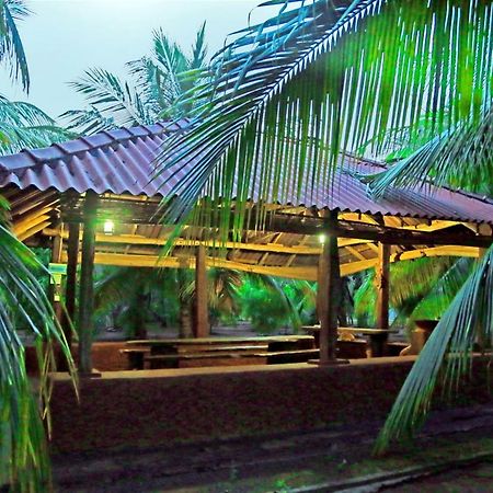 Heina Nature Resort - Eco Home And Yala Safari Катарагама Экстерьер фото