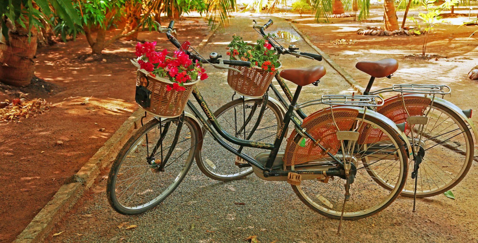 Heina Nature Resort - Eco Home And Yala Safari Катарагама Экстерьер фото