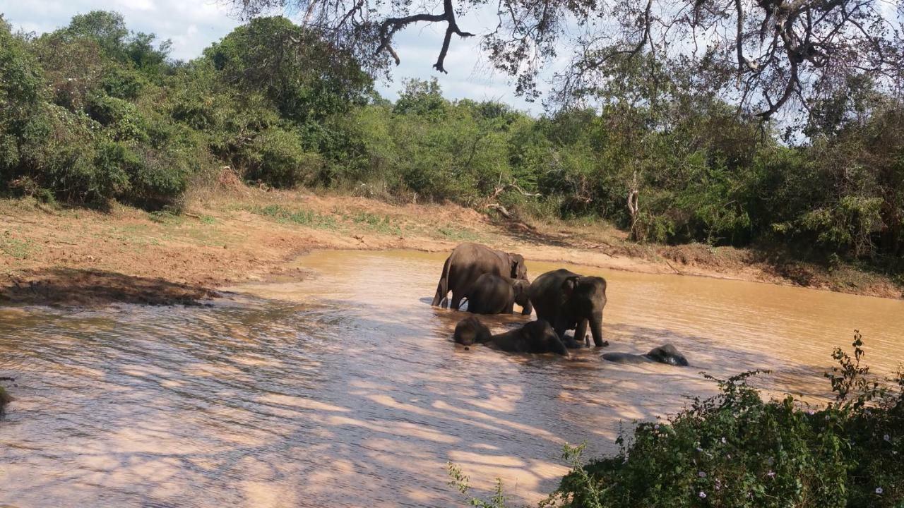 Heina Nature Resort - Eco Home And Yala Safari Катарагама Экстерьер фото
